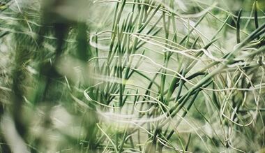 Wie man mit eigenen Händen einen Glücksbringer macht.