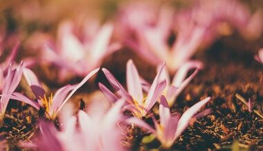 wie man mit eigenen Händen einen Glücksbringer herstellt